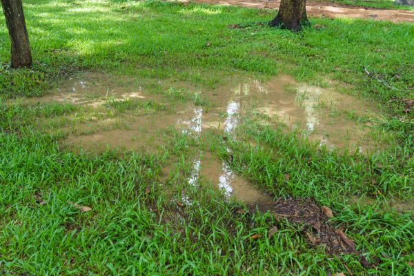 Cost of Storm Water Drainage Service in Fayetteville