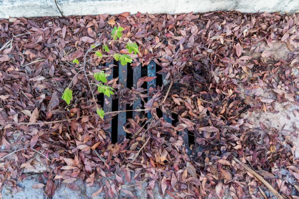 Cost of Yard Drain Unclogging in Fayetteville