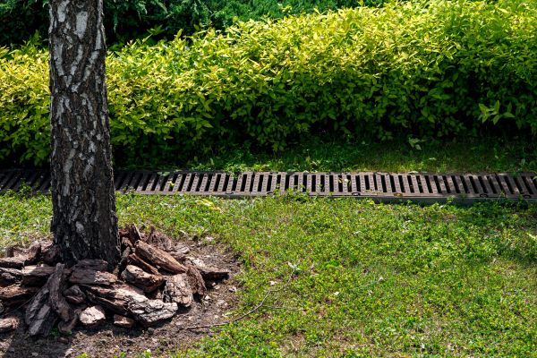 Wet Yard Drainage in Fayetteville